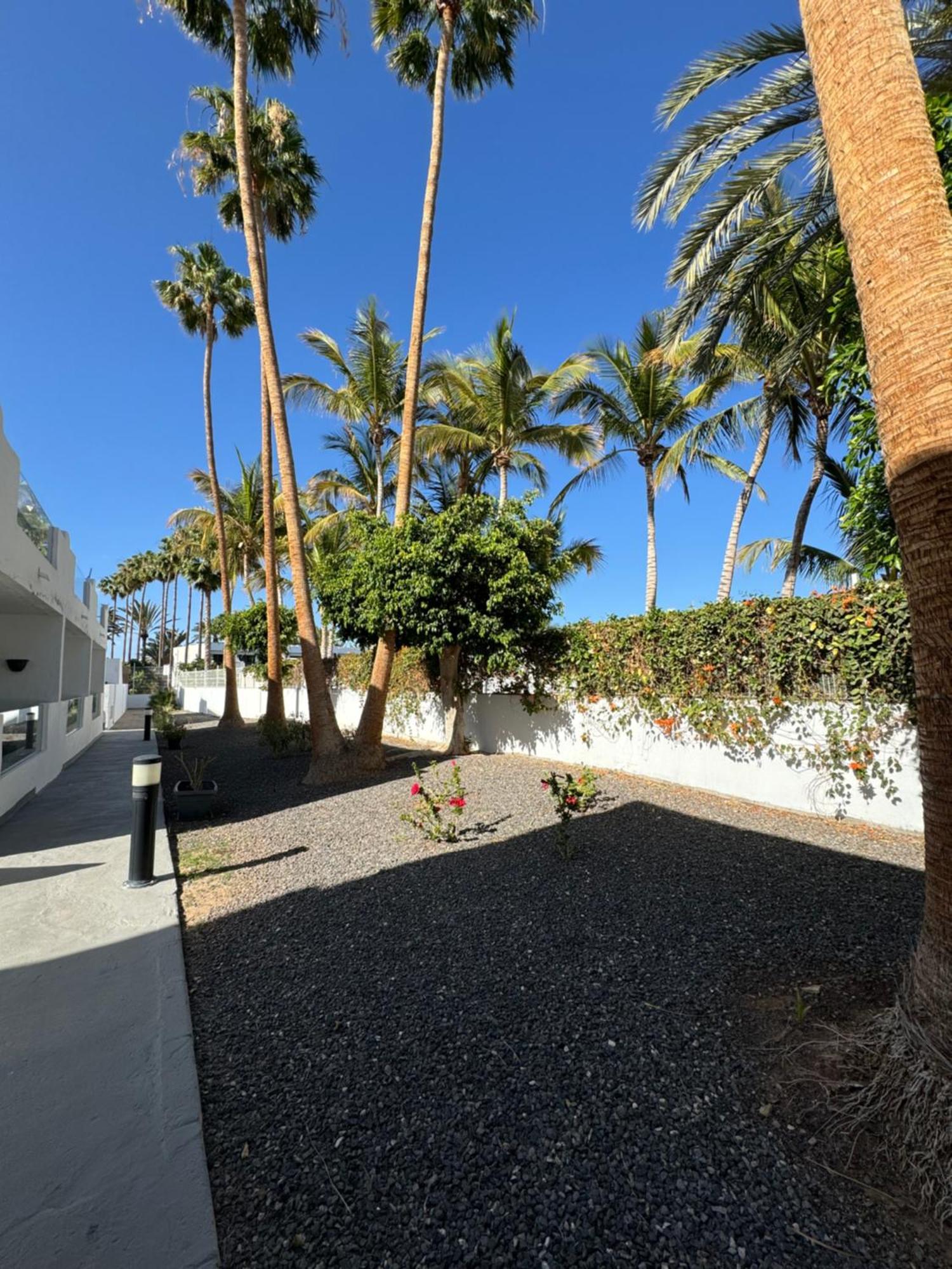 Apartamento Brisa Del Mar Tarajalejo Exterior foto